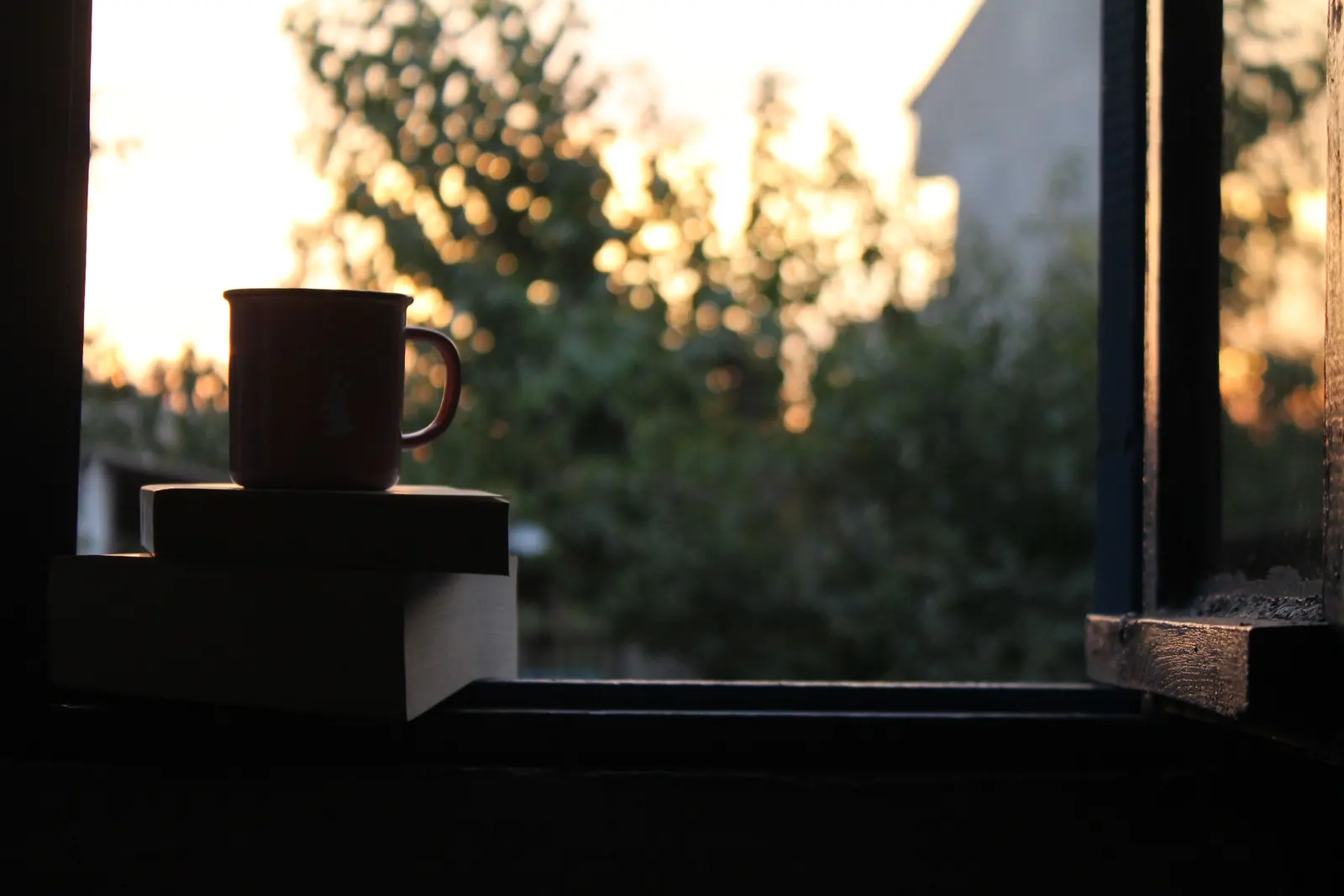 A mug on a stack of books on a windowsill at dusk, trees glowing in the last light